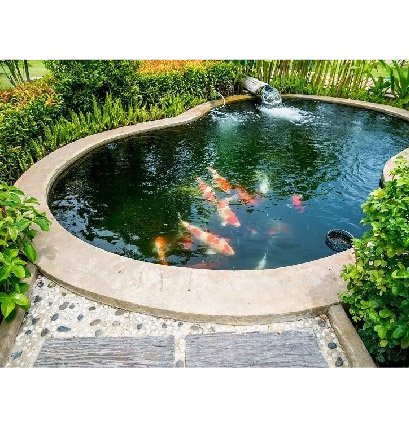 Fish Pond Accessories